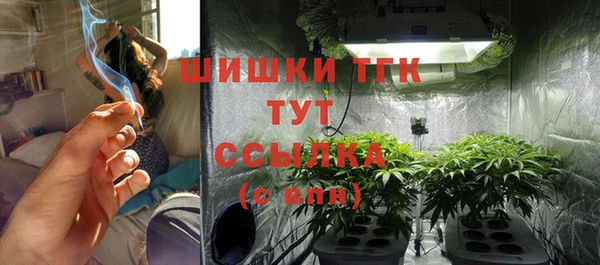 гашик Богородск
