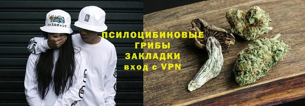 jwh Белокуриха
