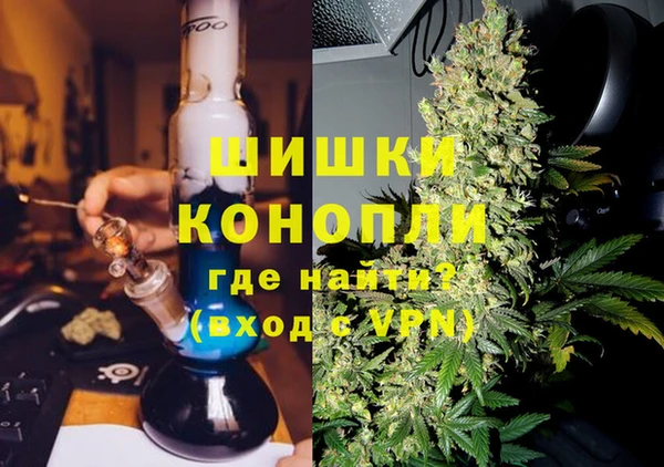 гашик Богородск