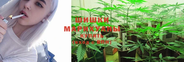 jwh Белокуриха
