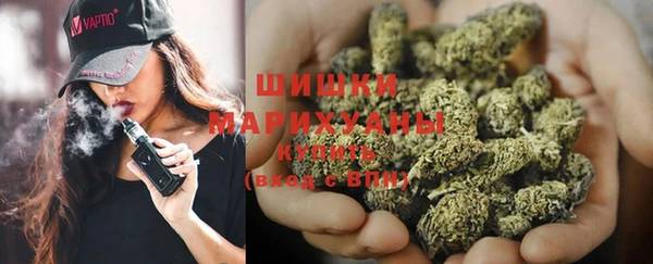 стафф Богородицк