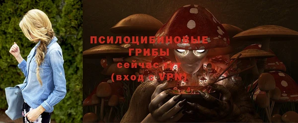 стафф Богородицк